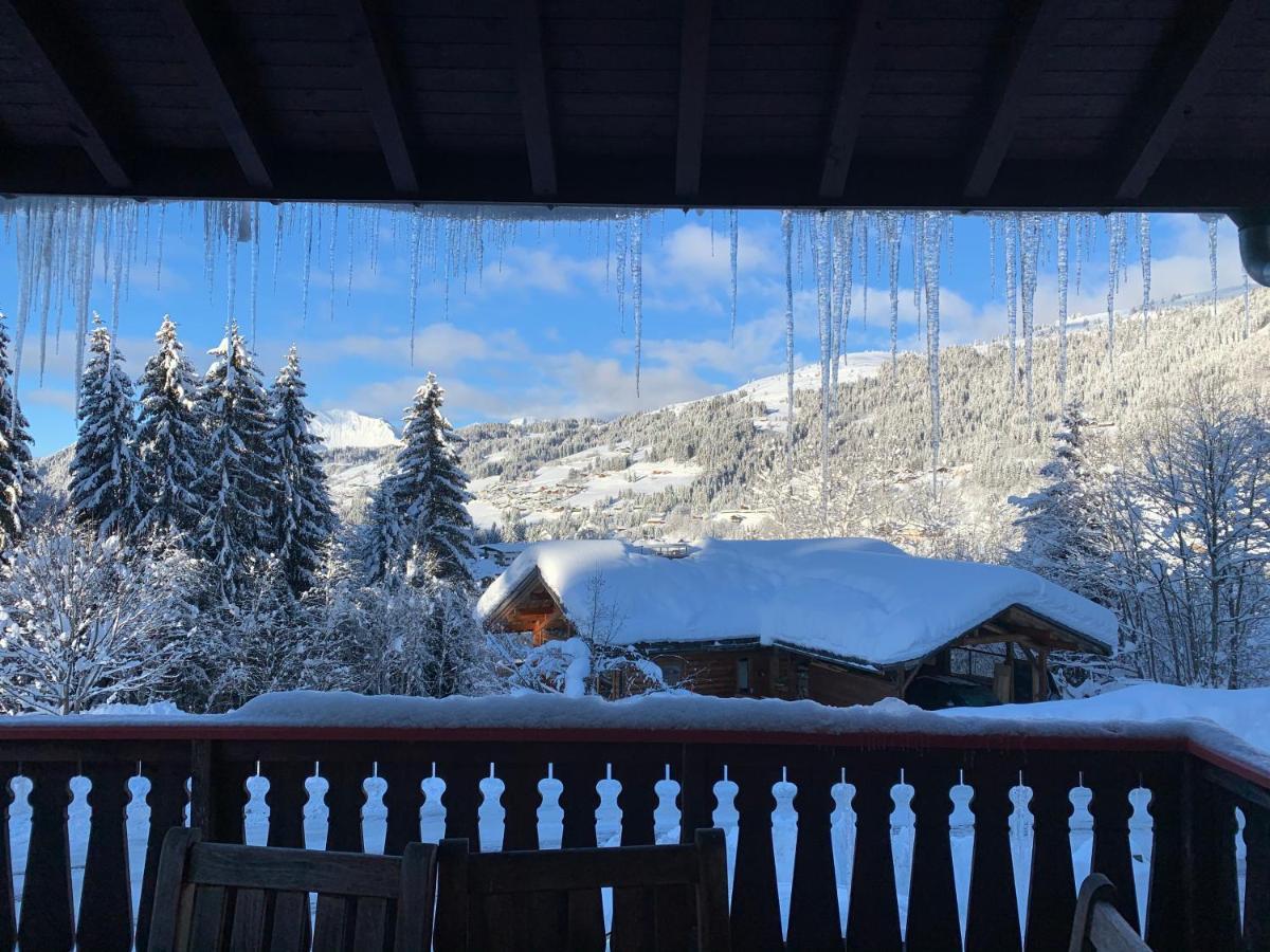 Chalet Le Renard Du Lac Les Gets Extérieur photo